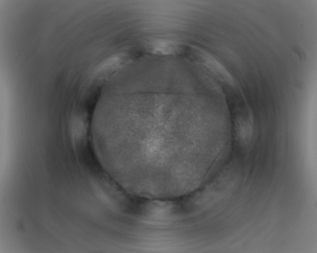 X0000113240328200910081303