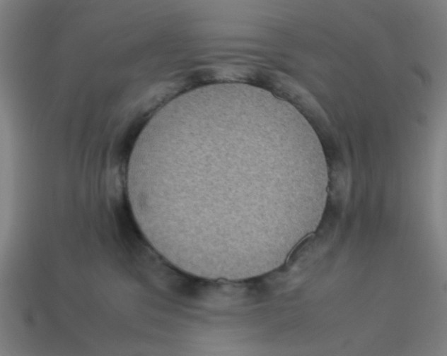 X0000113240329200910081303