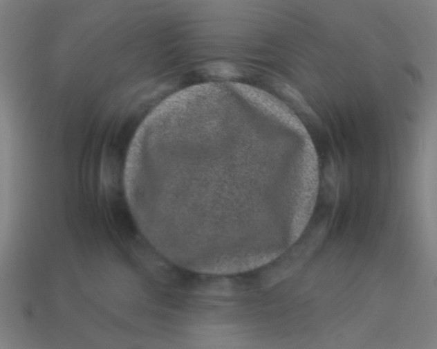X0000113240330200910081303