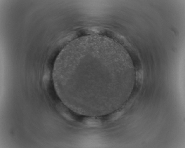 X0000113240331200910081303