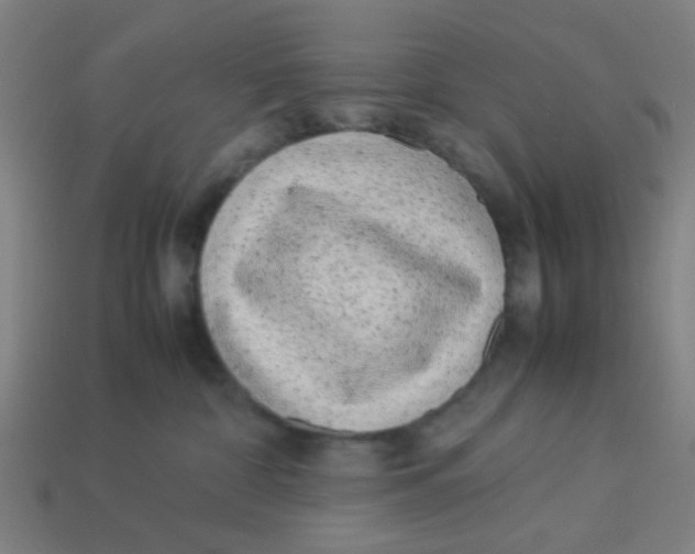 X0000113240332200910081303