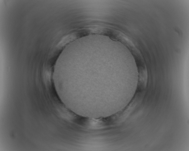 X0000113240333200910081303