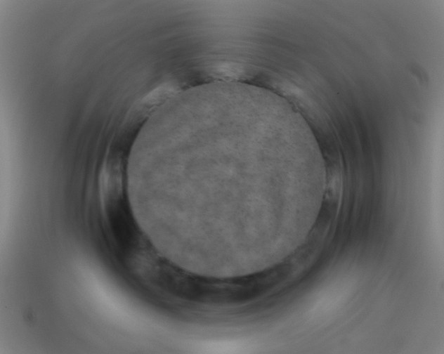 X0000113240334200910081303
