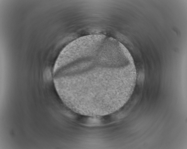 X0000113240335200910081303
