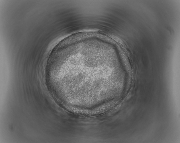 X0000113240337200910081302