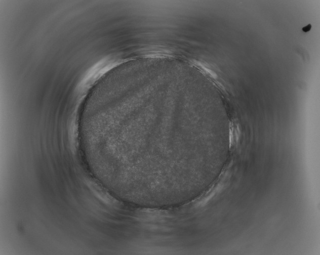 X0000113240339200910081302