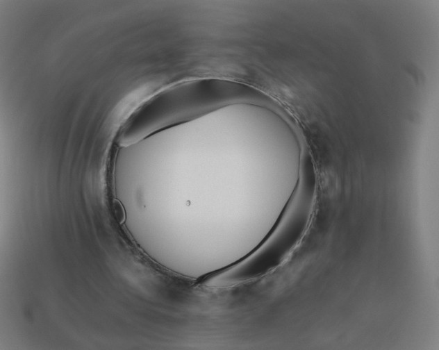 X0000113240340200910081302