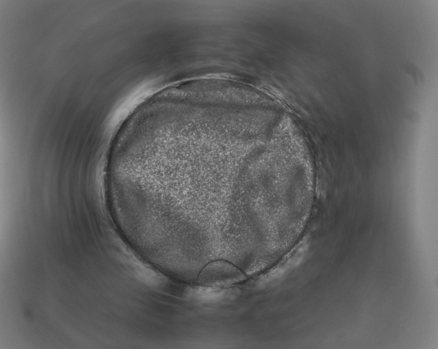 X0000113240341200910081302