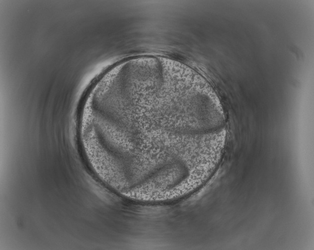 X0000113240342200910081302