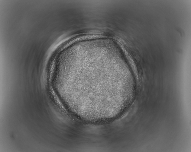 X0000113240343200910081302