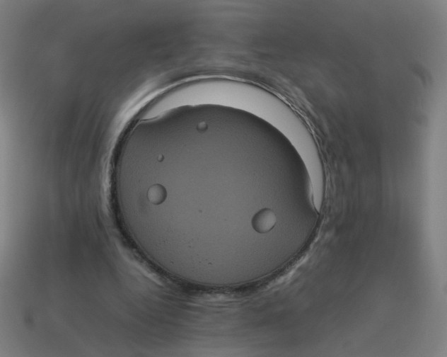 X0000113240344200910081302