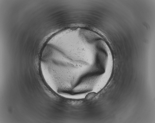 X0000113240345200910081302