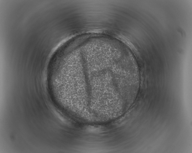 X0000113240346200910081302