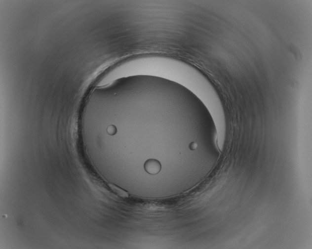 X0000113240348200910081302