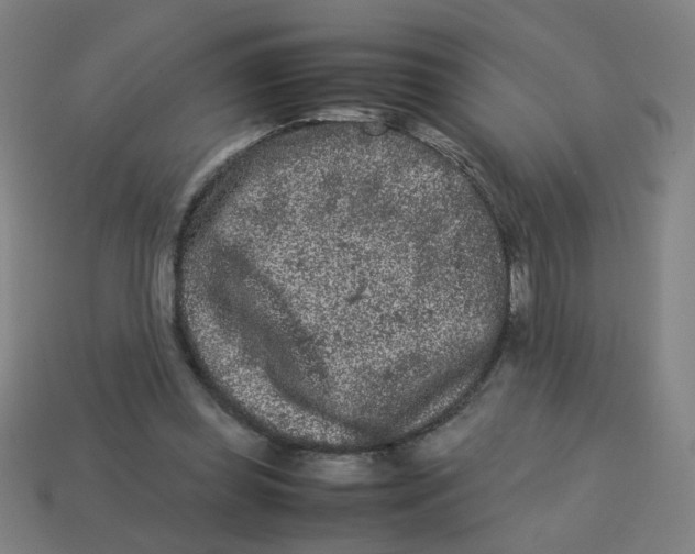 X0000113240349200910081302