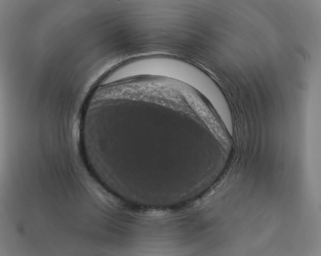 X0000113240350200910081302