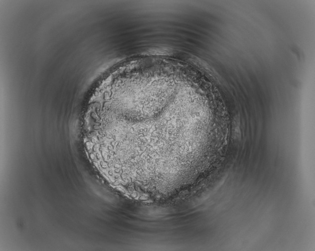 X0000113240351200910081302