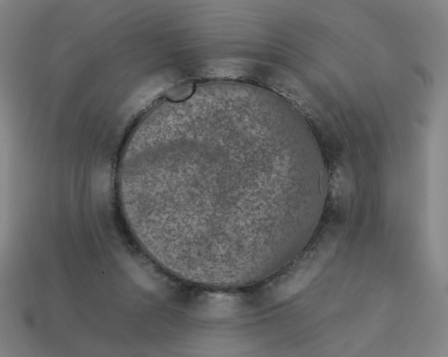 X0000113240352200910081303