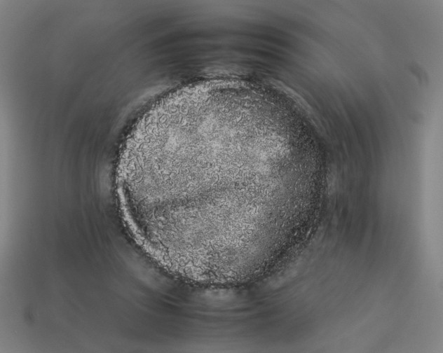 X0000113240353200910081303