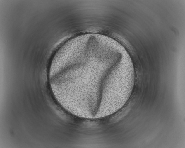 X0000113240354200910081303