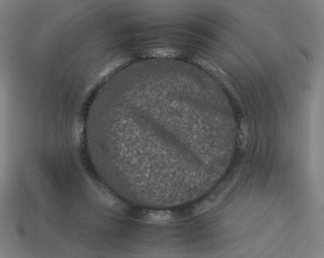 X0000113240355200910081303