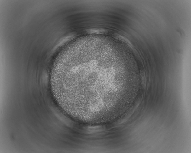 X0000113240357200910081303