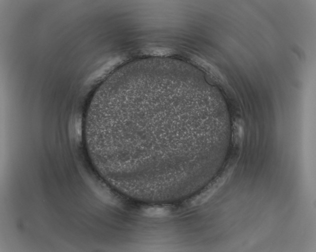 X0000113240358200910081303