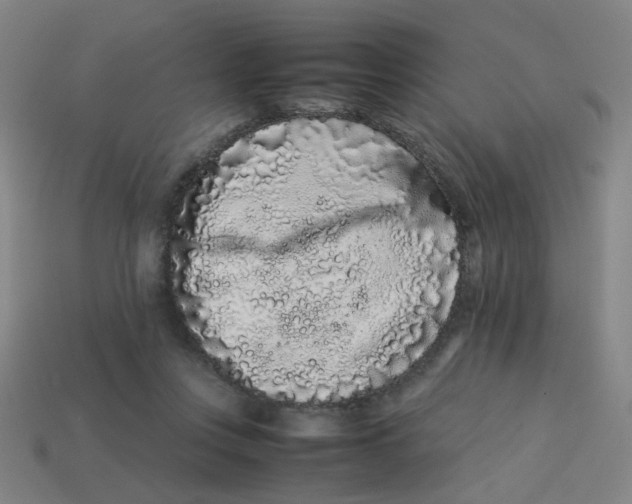 X0000113240359200910081303