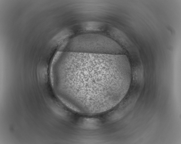 X0000113240360200910081303