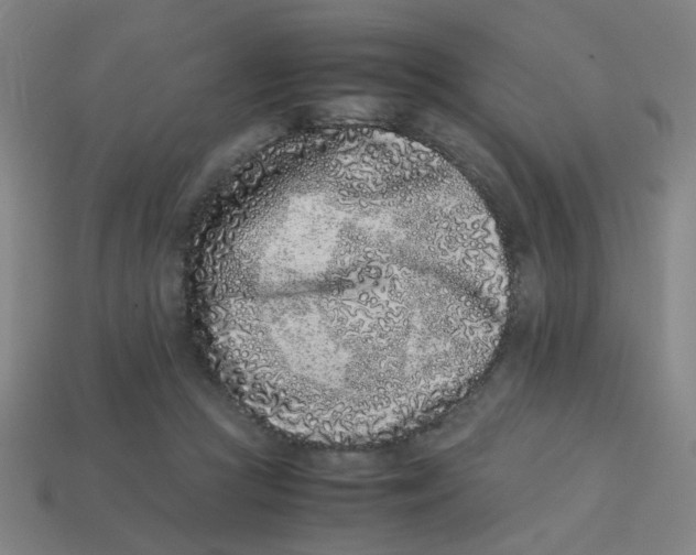 X0000113240361200910081303