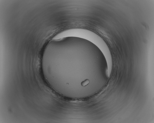 X0000113240362200910081303