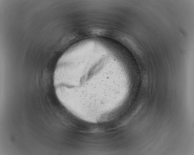 X0000113240363200910081303