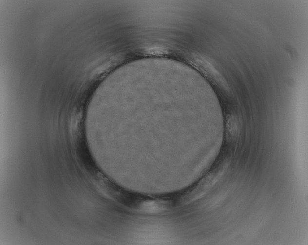 X0000113240364200910081303