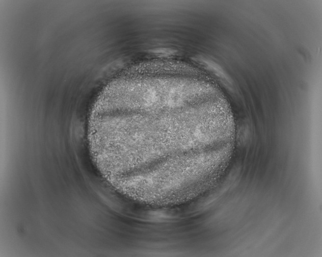 X0000113240365200910081303