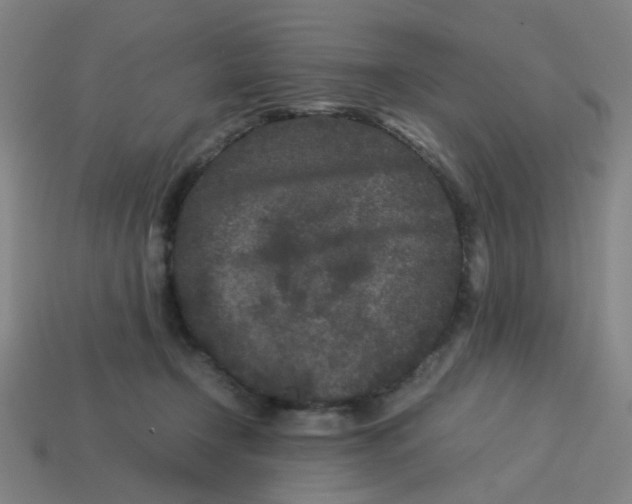 X0000113240366200910081303