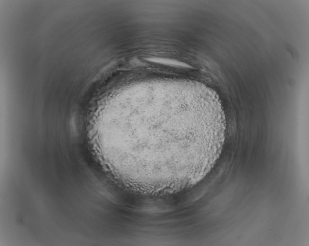 X0000113240367200910081303