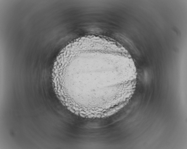 X0000113240369200910081303