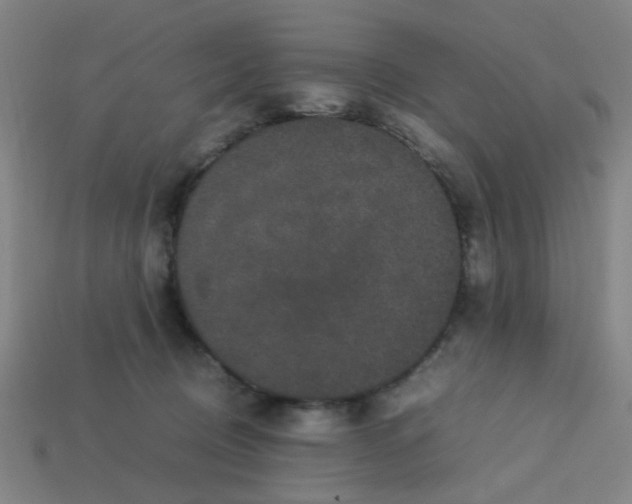 X0000113240370200910081303