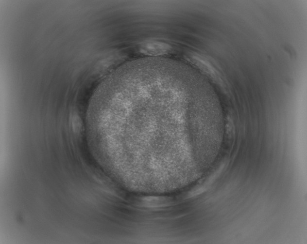 X0000113240371200910081303
