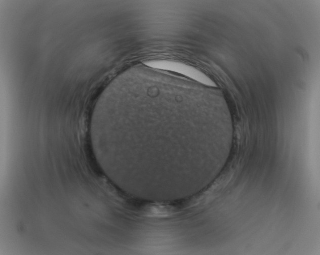 X0000113240372200910081303