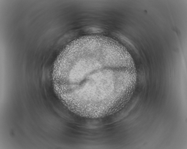 X0000113240373200910081303