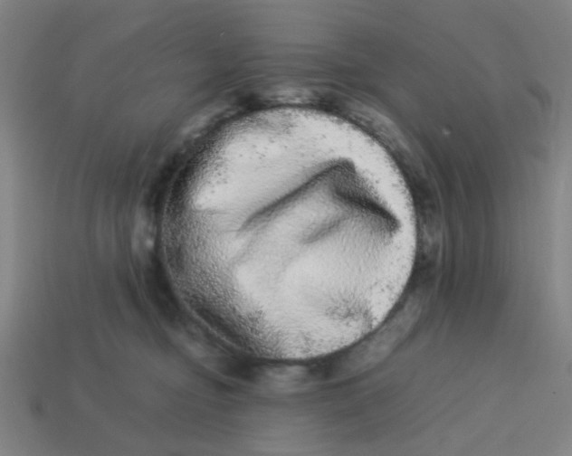X0000113240374200910081303
