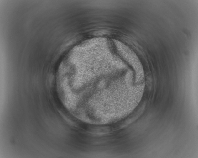 X0000113240375200910081303