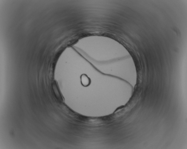 X0000113240376200910081303