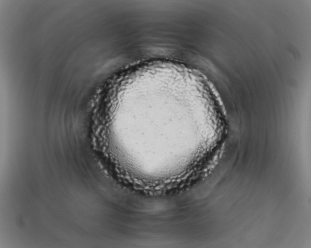 X0000113240377200910081303