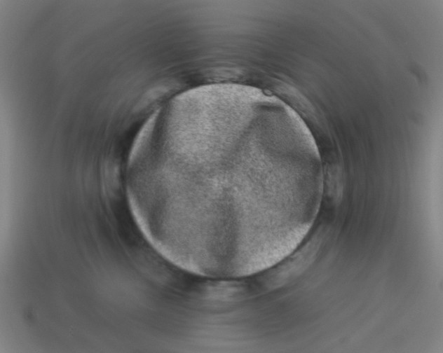 X0000113240378200910081303