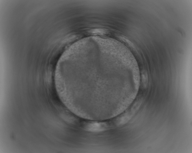X0000113240379200910081303
