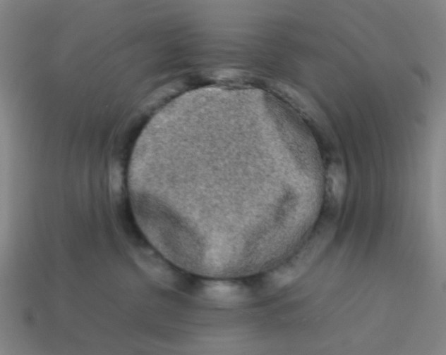 X0000113240380200910081303