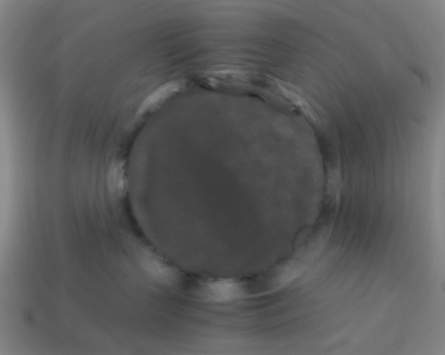 X0000113240383200910081303