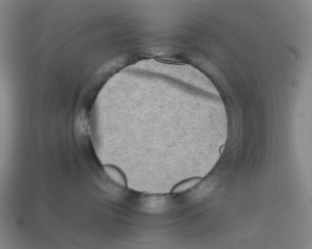 X0000113240384200910081303